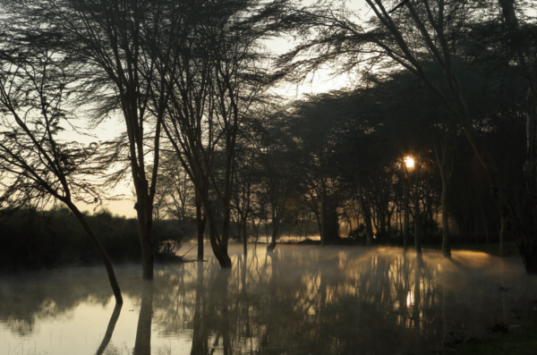 Lake Nakuru - Landscape